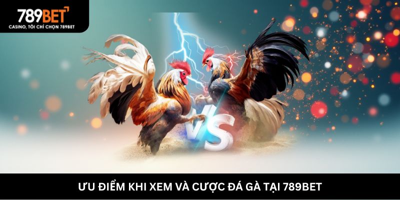 Lý do người chơi nên cược đá gà cựa sắt 789BET