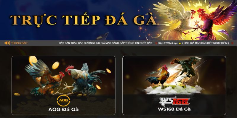 Đá gà, đua ngựa tại 789bet